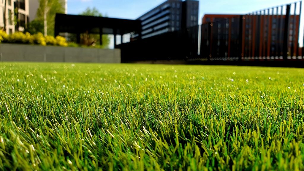 A weed free lawn is a beauty to behold!