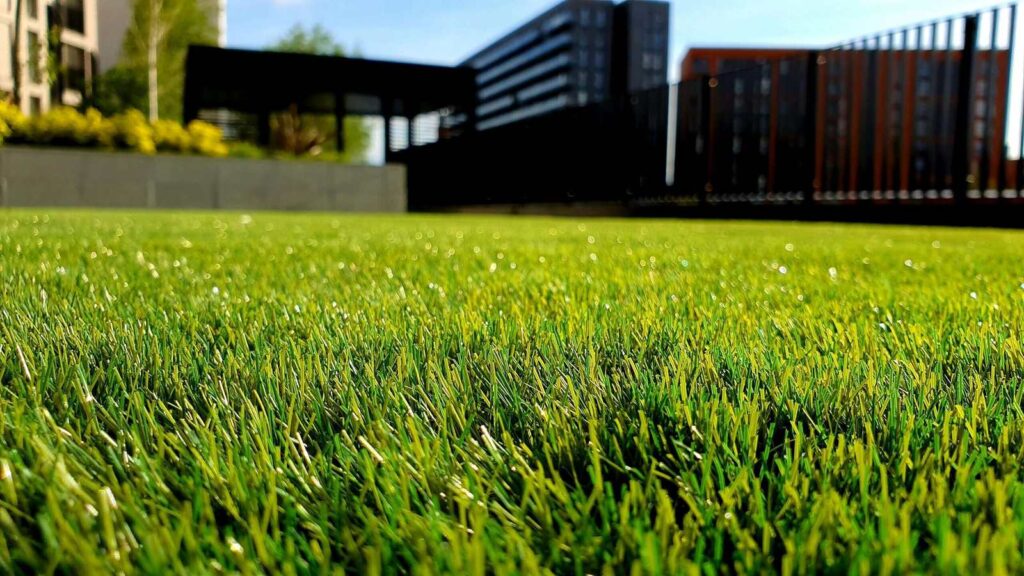 A weed free lawn is a beauty to behold!