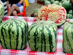 An image of squared watermelons for an article about growing a square watermelon.