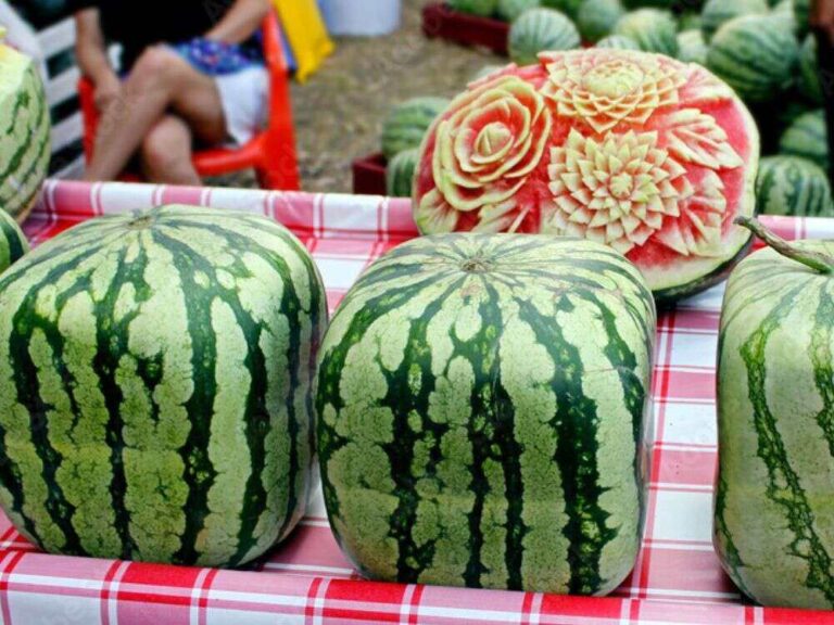 An image of squared watermelons for an article about growing a square watermelon.