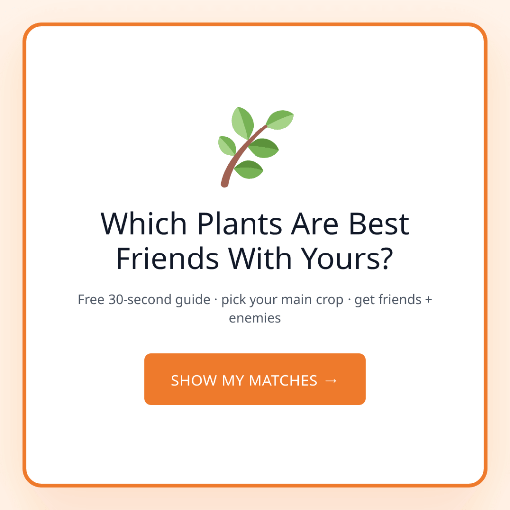 Companion Planting: Which Plants Are Actually Best Friends?