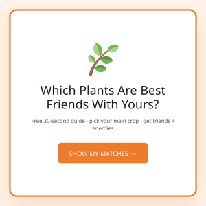 Companion Planting: Which Plants Are Actually Best Friends?