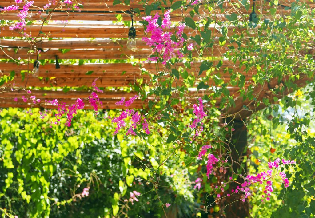 A simple arbour