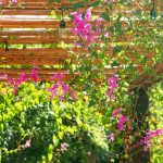 A simple arbour