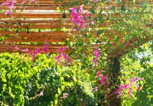 A simple arbour