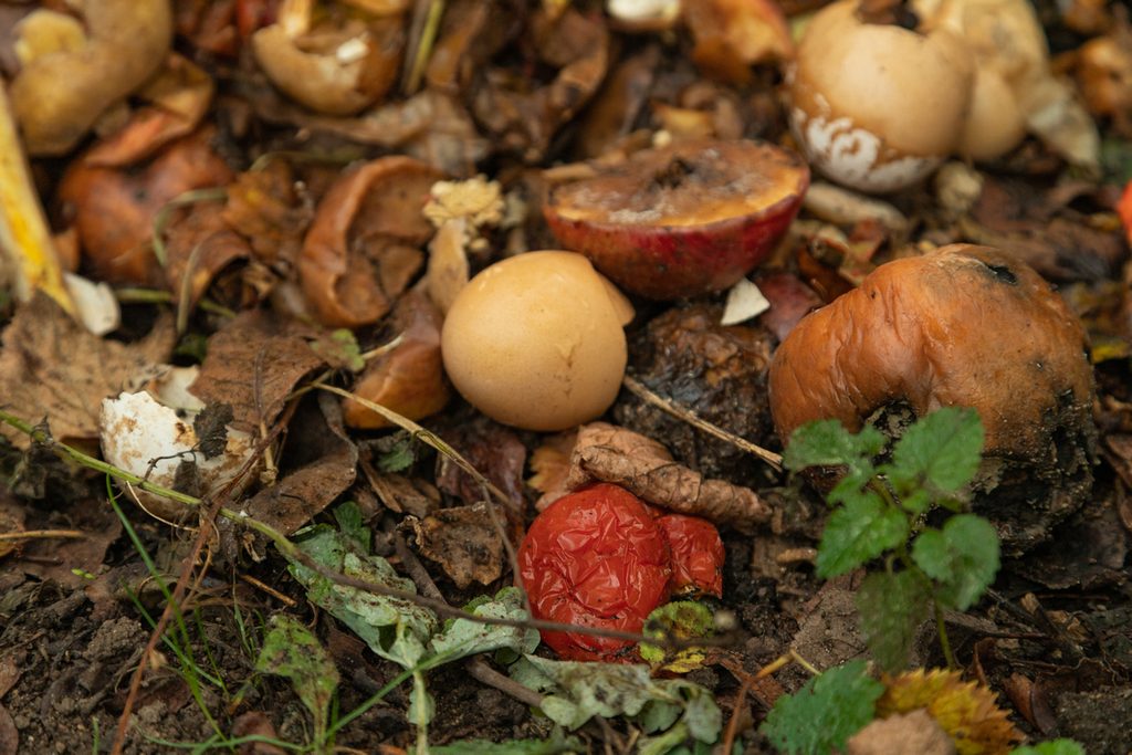 Composting for Beginners 2026: Turning Waste into Garden Gold