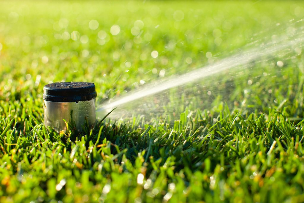 A pop-up irrigation sprayer