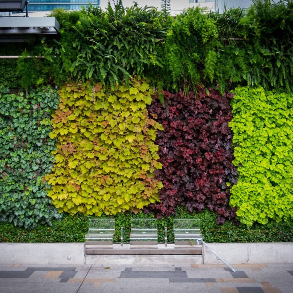 A colourful vertical garden in Japan.