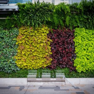 A colourful vertical garden in Japan.