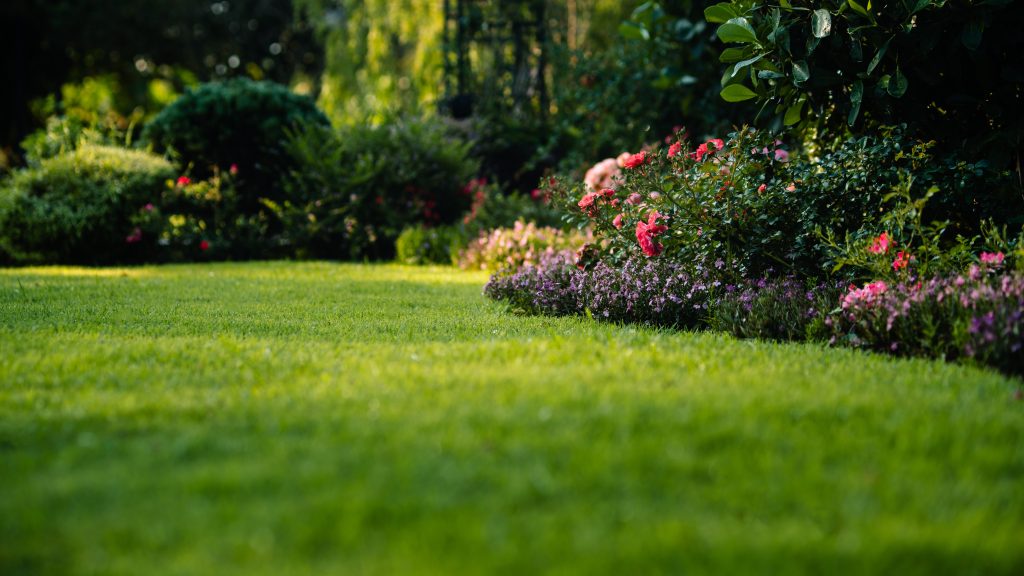 A healthy green lawn with colourful flower beds