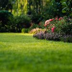 A healthy green lawn with colourful flower beds