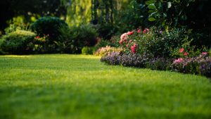 A healthy green lawn with colourful flower beds