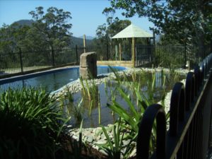 Our Natural Swimming Pond Build:  In The Beginning...