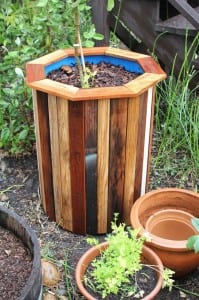 Plastic Barrel Planter: Cheap $10 Garden Project