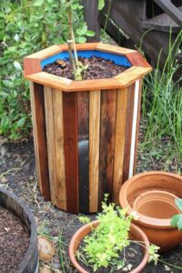 Plastic Barrel Planter: Cheap $10 Garden Project