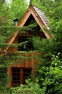 From a Brass Sink to a Japanese Forest House