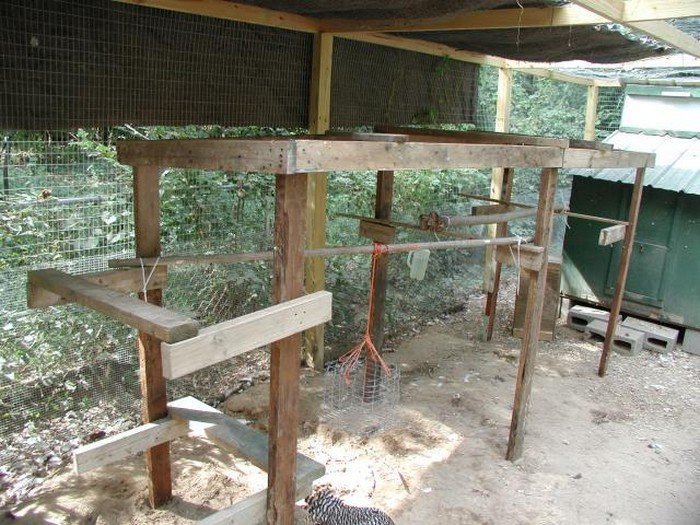 DIY Chicken Jungle Gym