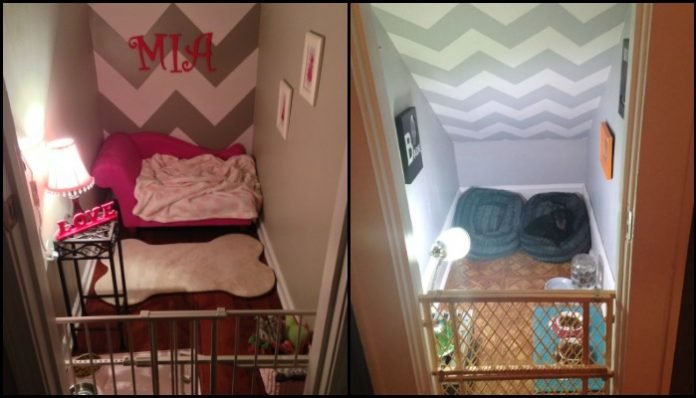 Dog Bedroom