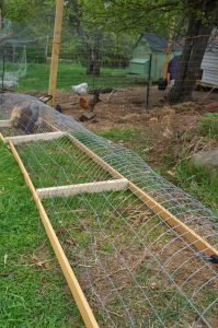Chicken tunnel