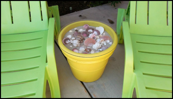 Seashell Table
