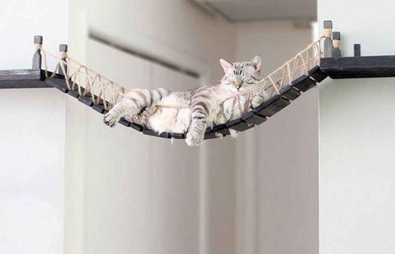 Craft Cat Rope Crafting a Cat Rope Bridge – 10 Creative Designs to Inspire – Your ...