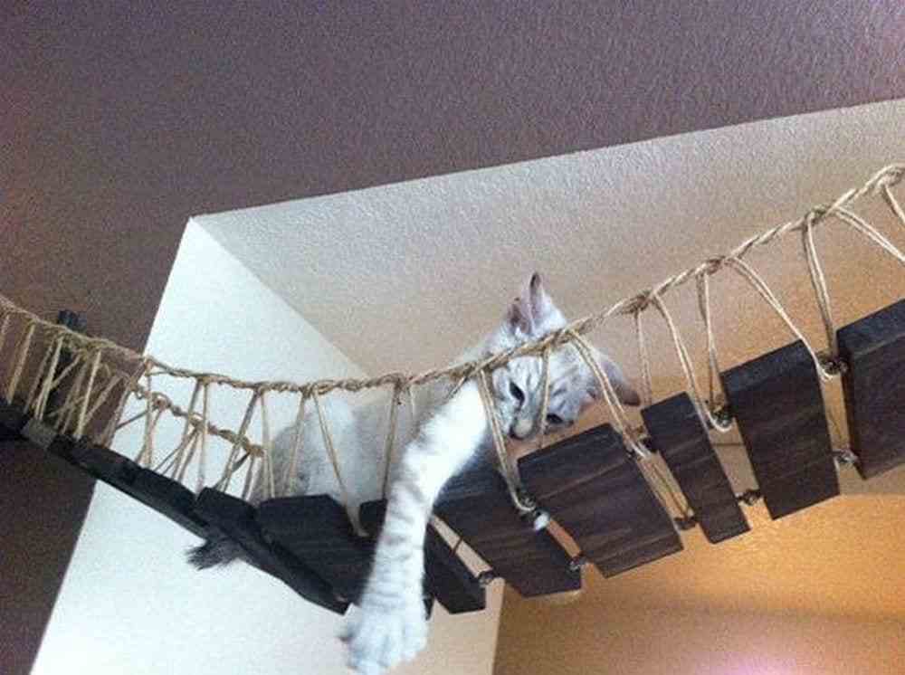Craft Cat Rope Crafting a Cat Rope Bridge – 10 Creative Designs to Inspire – Your ...