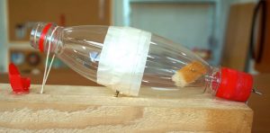 Merciful Water Bottle Mouse Trap: Practical 6-Step Project