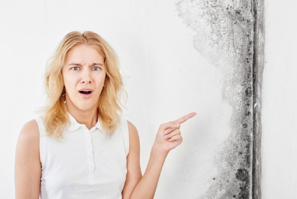 Prevent Black Mold