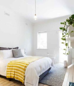 An image of a guest room with a king size bed and a potted plant.