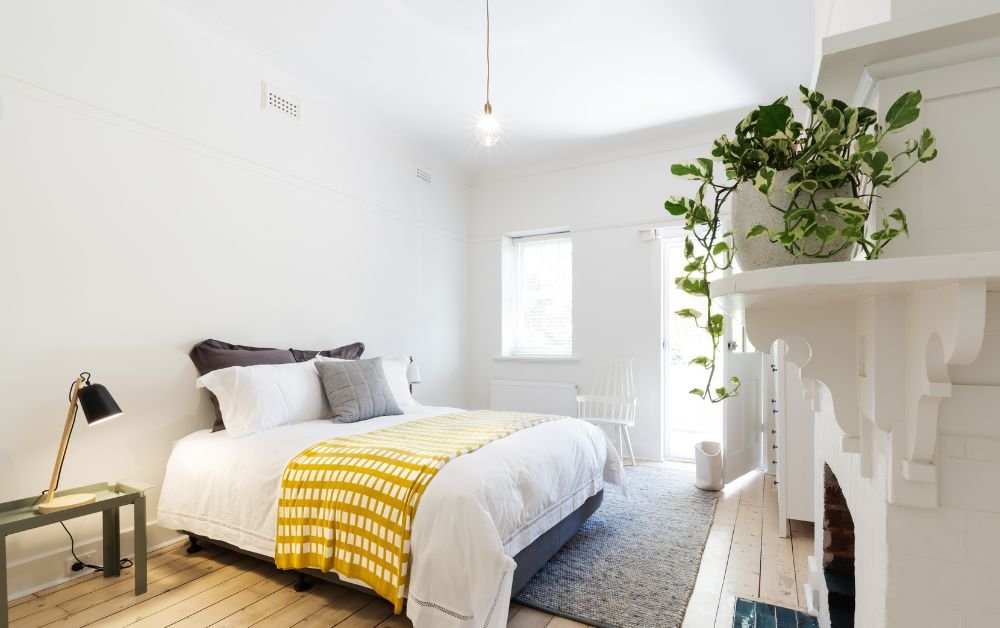 An image of a guest room with a king size bed and a potted plant.