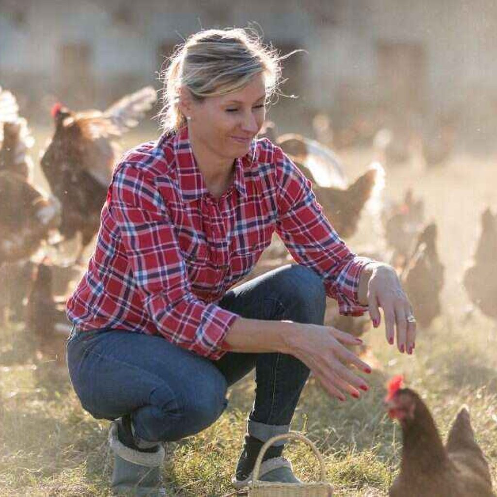 To ensure ethical sourcing, ask for referrals from experienced poultry keepers.