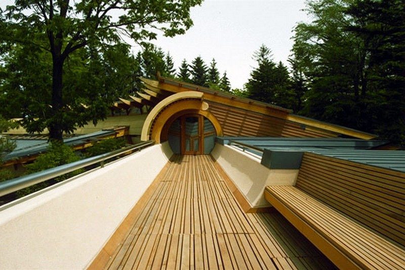 The Roof Deck