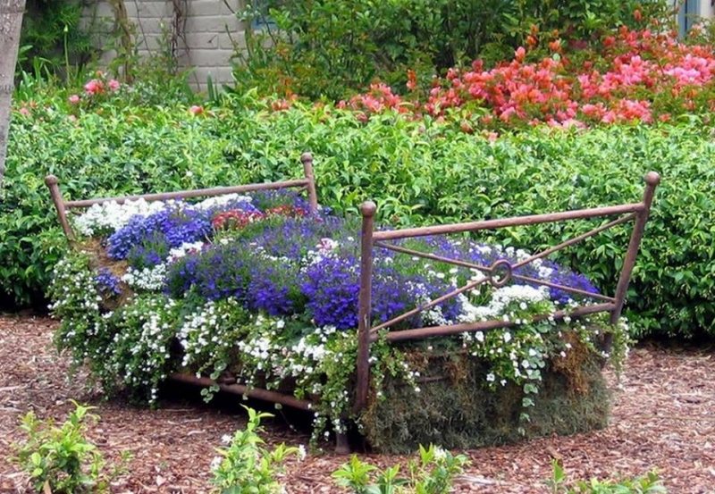 Did someone mention a garden bed? What do you think?