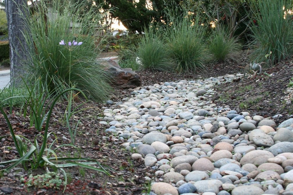 Dry creek bed garden California