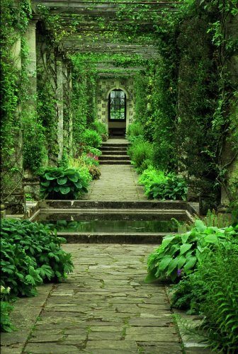 What an absolutely divine garden path.