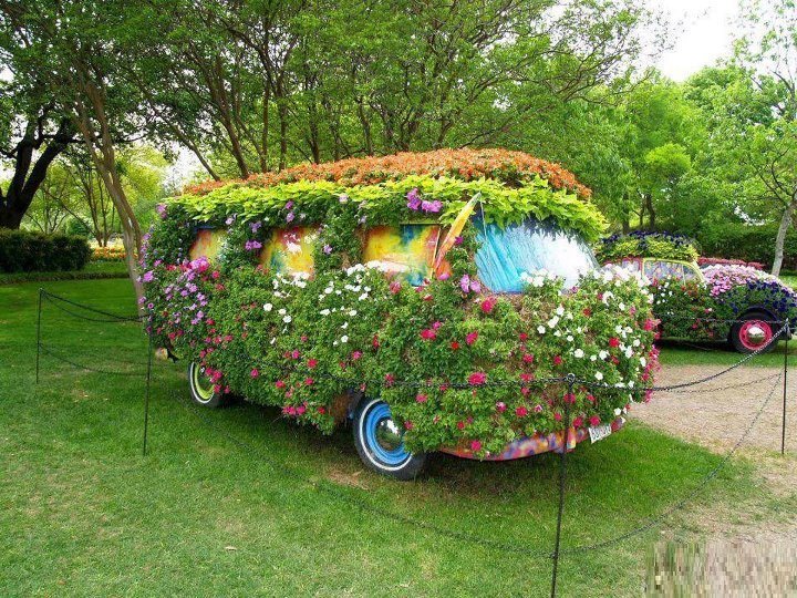 Flower Power :-)  What is the first song lyric that comes into your head when you see this?