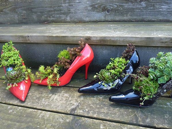 Here's another 'creative or silly' one. What do you think? Succulent shoes???  Got an opinion on this? Why not comment, LIKE and SHARE?