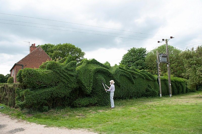 75-year-old John Brooker spent 13 years transforming a boring hedge into a 150ft-long (45.7m) giant dragon. How cool is that!