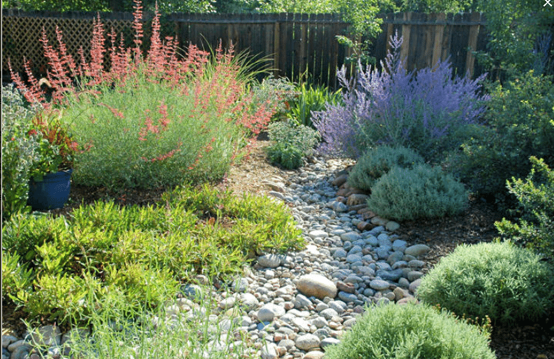 Dry Creek Bed Gardens | The Owner-Builder Network on Dry Garden Design
 id=98309