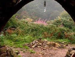 The Hobbit House - Wales