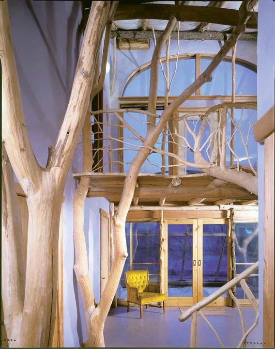Whole-Tree-Architecture-9