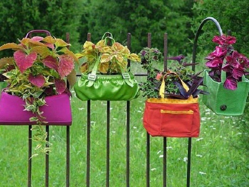 When it comes to gardening ideas is this a WIN or a FAIL?