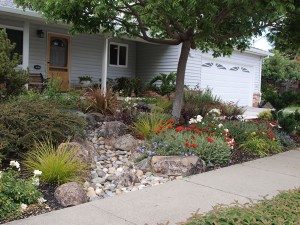 Dry Creek Bed Gardens - The Owner-Builder Network