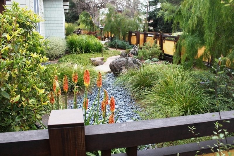 Dry Creek Gardens are a great fix-all.  If you have a