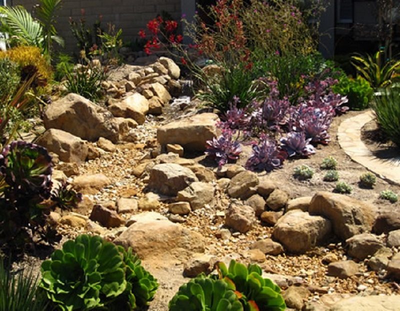 Here's another dry creek garden, planted with succulents to hopefully get you inspired.  What do you think?