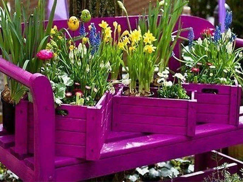 Instant colour for the smallest of gardens