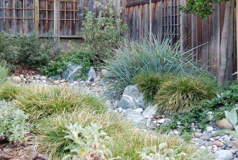 Dry creek bed gardens really can fix a wide variety of gardening issues.