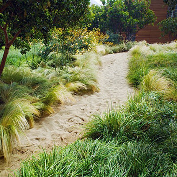 Sandy Path Design - Cornish Garden Landscapes