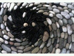 A vortex of cobbles, roof slate and a sea shell
