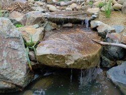 Phillip Johnson Landscapes - Small water course-3